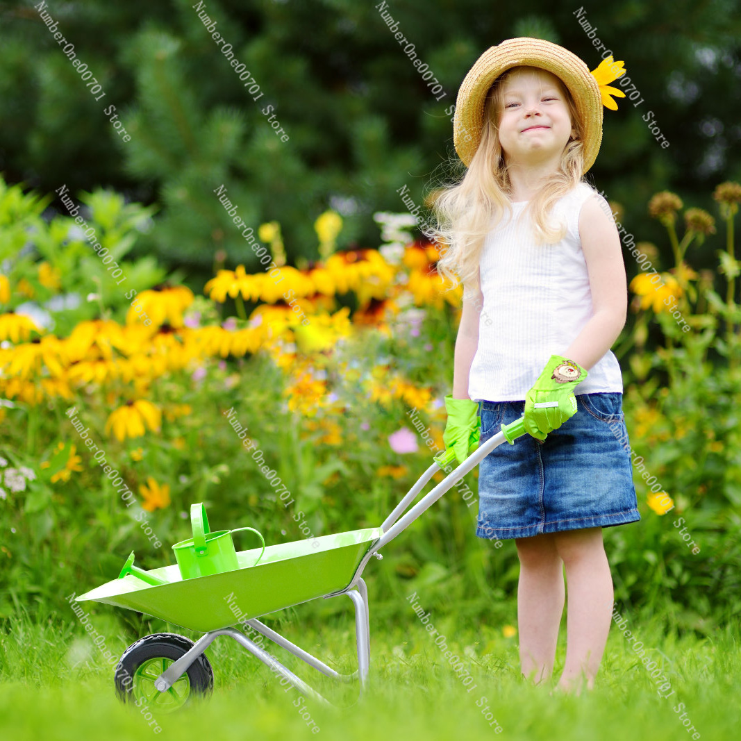 Kids Outdoor Wheelbarrow, Gree - Kids Outdoor Activities ulasan dan harga